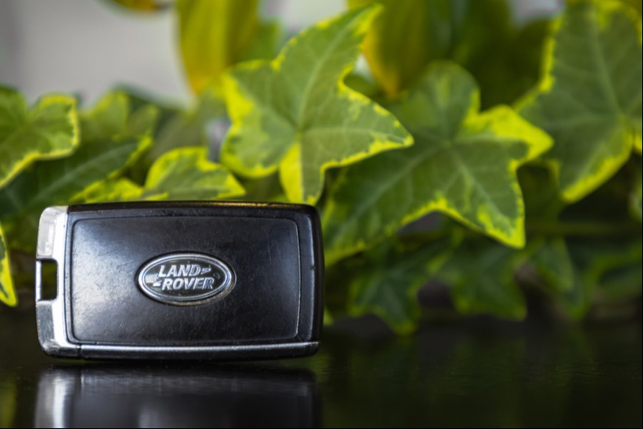 Gallery gallery_images_2_5_17702962821296787990.jpg  | Van Veen Auto's 