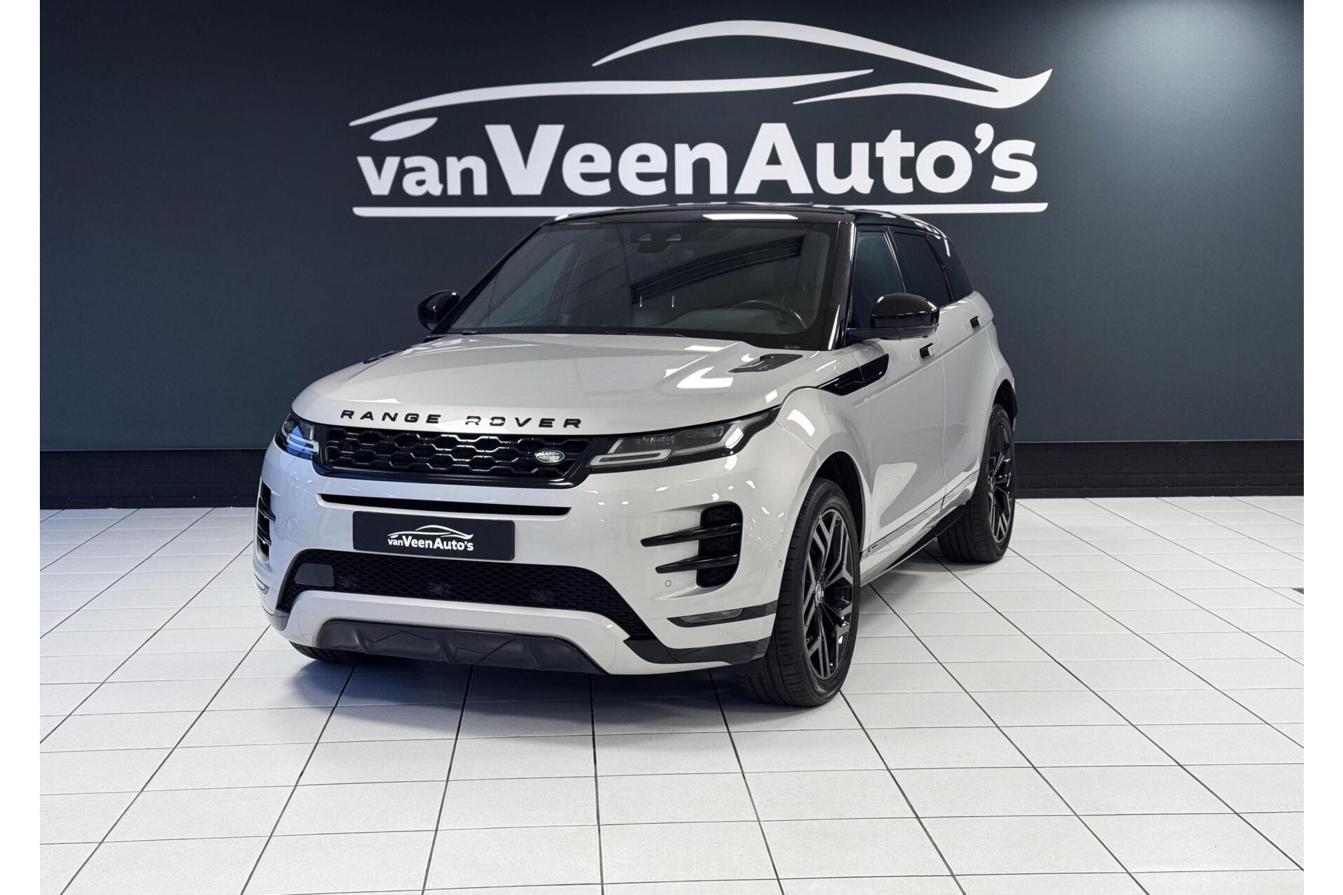 50909479-2.jpg