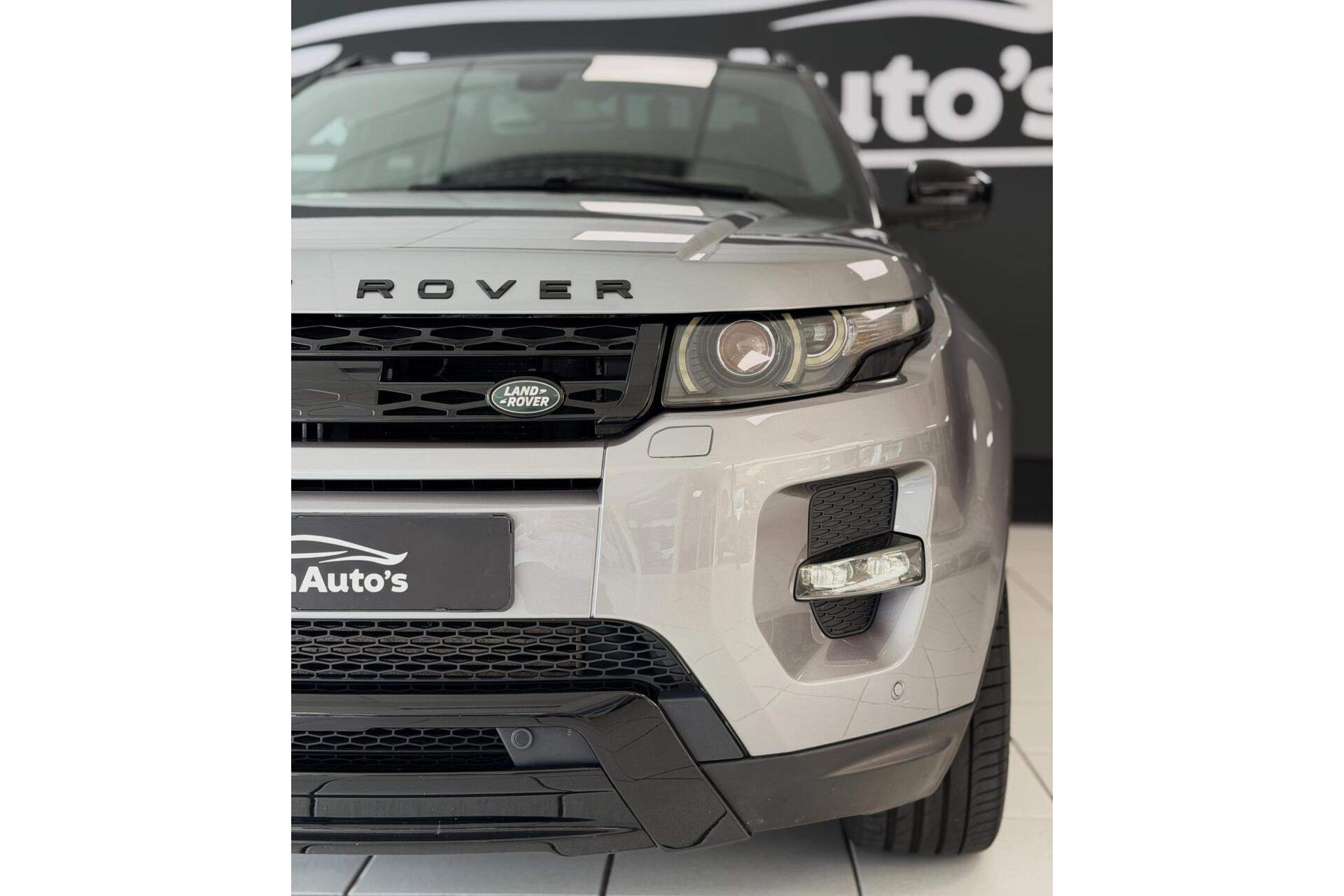 55074304-3.jpg